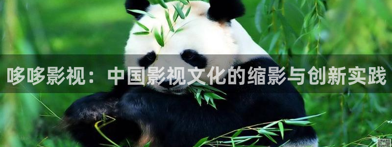 好看影院：哆哆影视：中国影视文化的缩影与创新实践