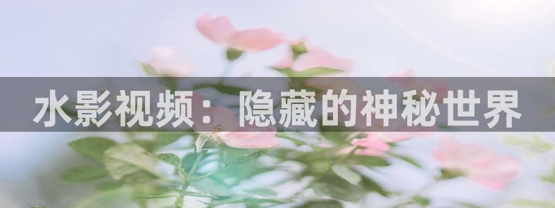 好看影院：水影视频：隐藏的神秘世界