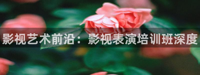 好看影院在线观看：影视艺术前沿：影视表演培训班深度