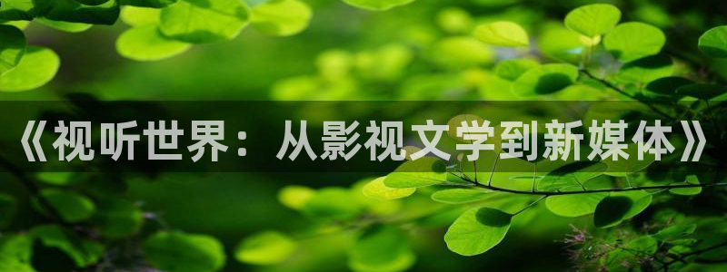 好看影院在线观看电影：《视听世界：从影视文学到新媒体》