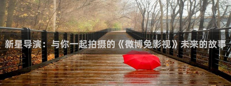 好看影院在线观看：新星导演：与你一起拍摄的《微博兔影视》未来的故事