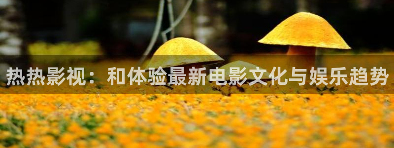 好好看影院：热热影视：和体验最新电影文化与娱乐趋势